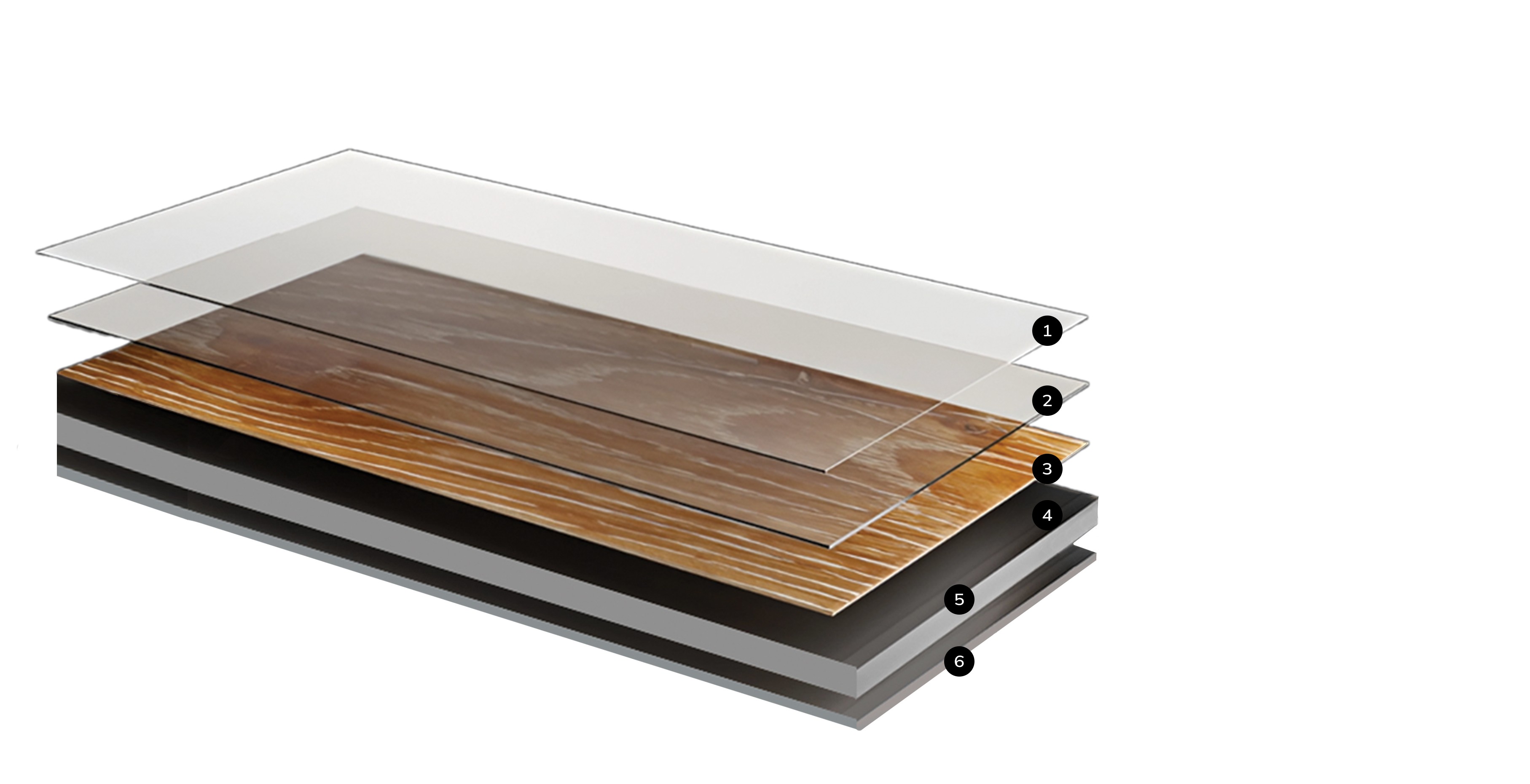 structure-lvt copy.png